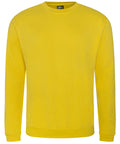 RX301 Pro Sweatshirt (Light Colours)