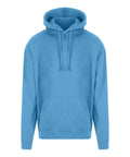 RX350 Pro Hoodie (Light Clrs)