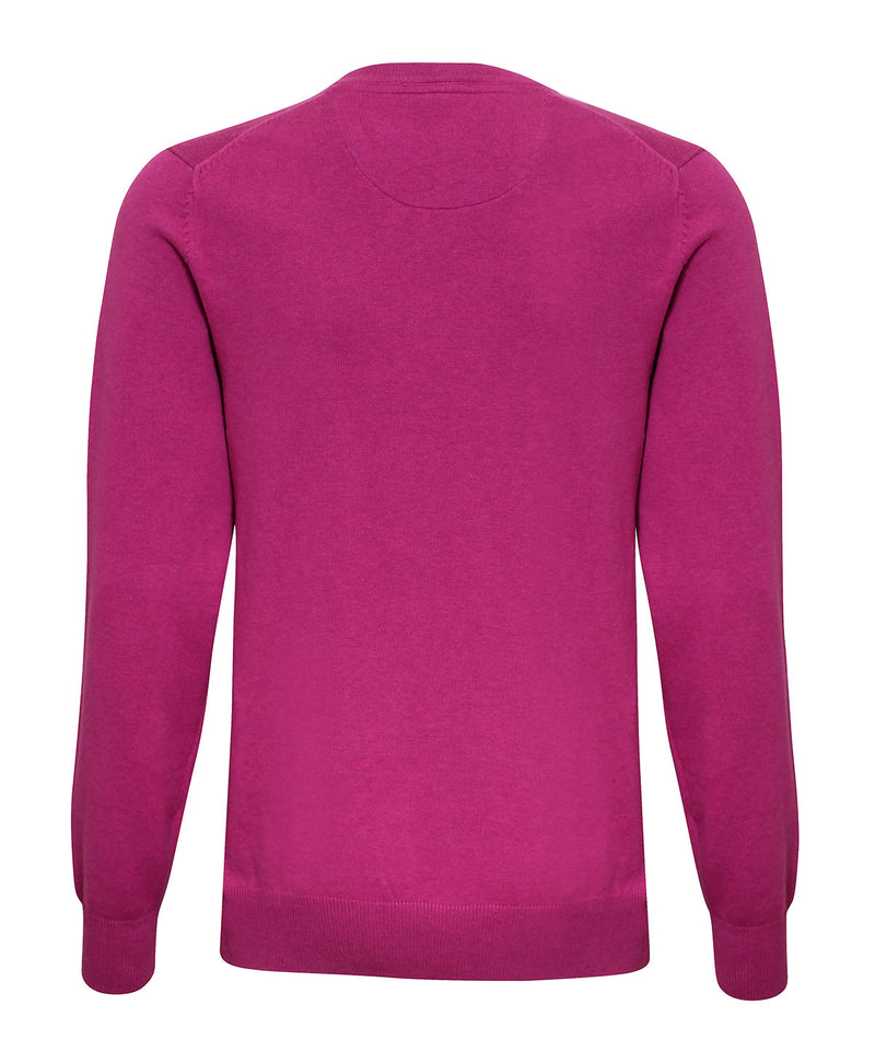 Men's Cotton Blend V-Neck Sweater