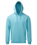 Men's Coastal Vintage Wash Loop Back Hoodie