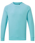 Men's Organic Crew Neck Sweatshirt