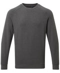 Men's Organic Crew Neck Sweatshirt