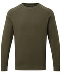 Men's Organic Crew Neck Sweatshirt