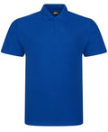 Pro Polo Men Shirt (Light Shades)