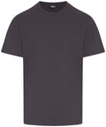 Pro T-Shirt (RX151)