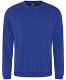 RX301 Pro Sweatshirt (Light Colours)