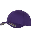 Flexfit Fitted Baseball Cap (6277)