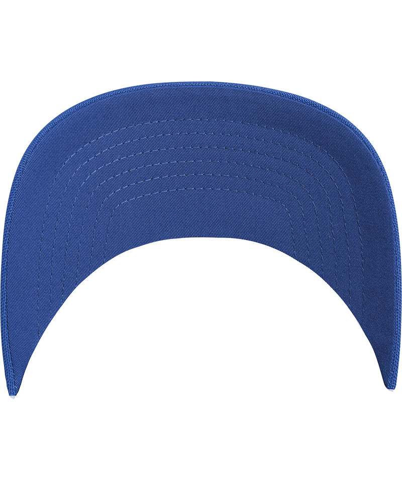 110 Visor (8110)