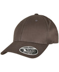 Flexfit 110 Organic Cap